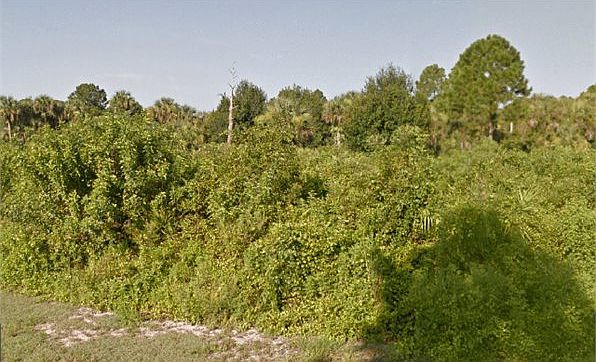1st image of 742 Nina Ave S