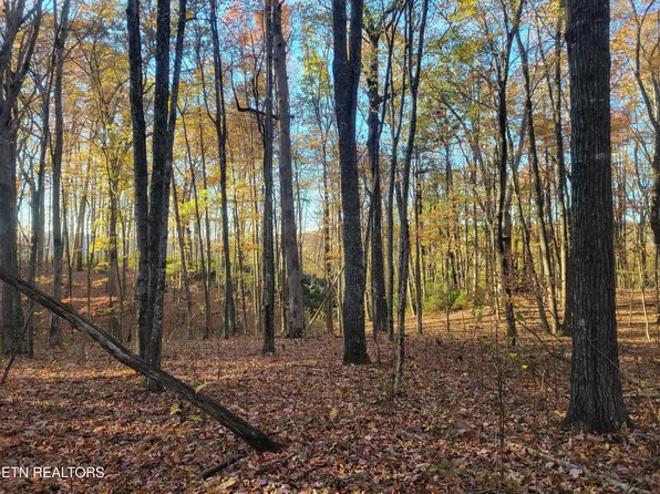 Tanner Dr, Monterey, TN 38574