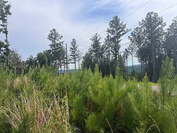 5th image of 103 Blalock Mountain Rd