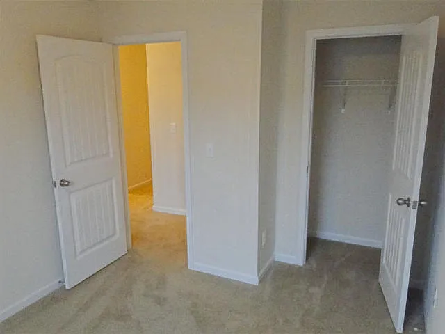 62 Holly Berry Ln — Photo 11