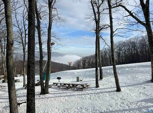120 Eagles Ct, Wintergreen Resort, VA 22967