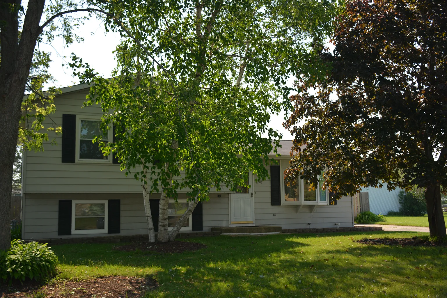 4207 Timothy St photo 1