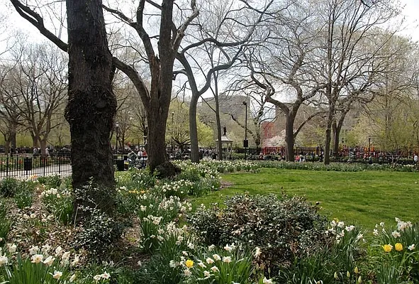 Rented by Douglas Elliman | media 20