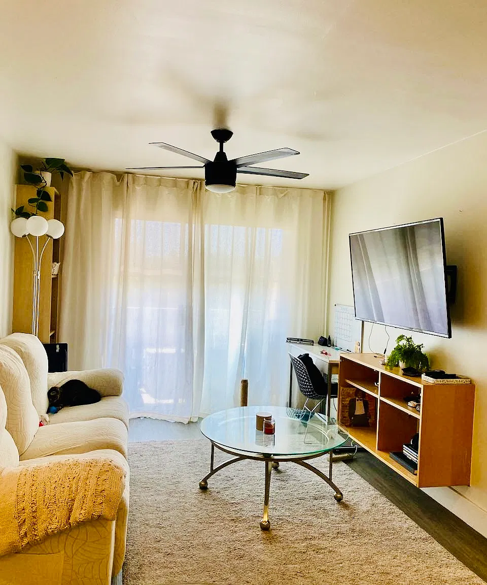 1 bed, 484 sqft, $2,150 — Photo 1