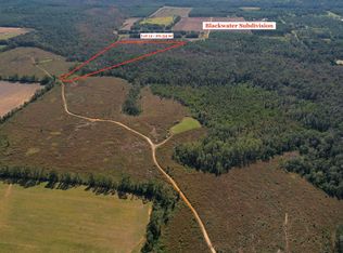 0 County Road 62 N LOT 12, Robertsdale, AL 36567