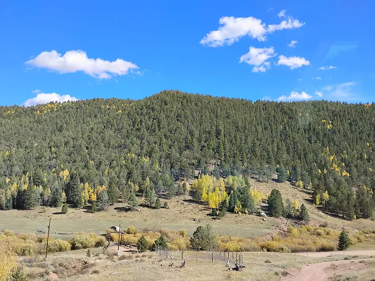 The view out the living room front window. Horses are pastured across the road.