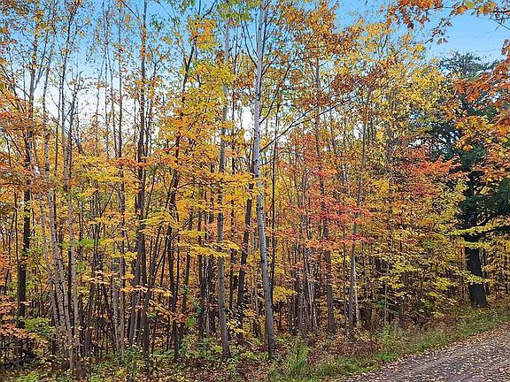 5th image of xxx Apple Hill Rd