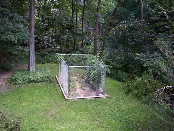 Put in your own vegetable garden and still have plenty of room.