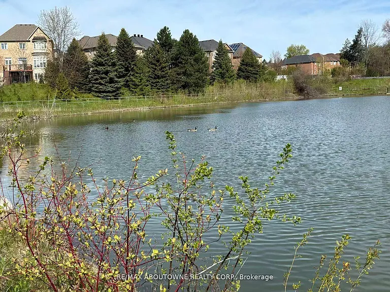 16 Gracedale Dr — Photo 43