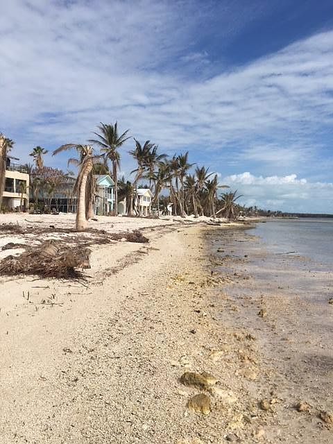 2nd image of Overseas Hwy