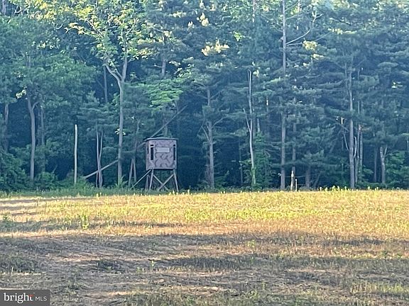 2nd image of 4 Dogwood Acres