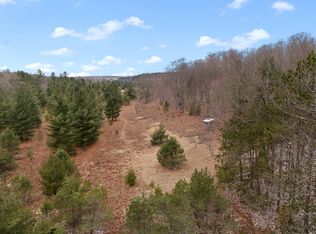 1 W 48th Rd, Cadillac, MI 49601