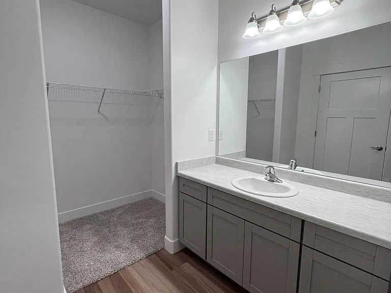 Master Bathroom with walk-in closet