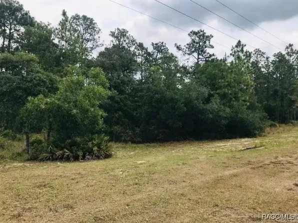 5929 W Dunklin St, Dunnellon, FL 34433