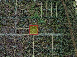 0 Sweetwater Trl, Kissimmee, FL 34747