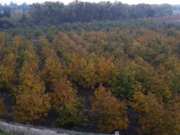 0 Jackson Rd, Oakdale, CA 95361