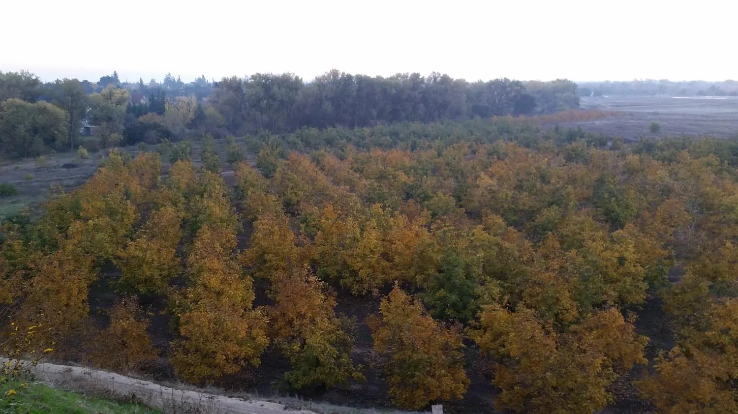 0 Jackson Rd photo 1