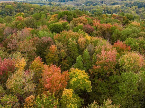 7035 Pleasant Chapel Rd, Newark, OH 43056