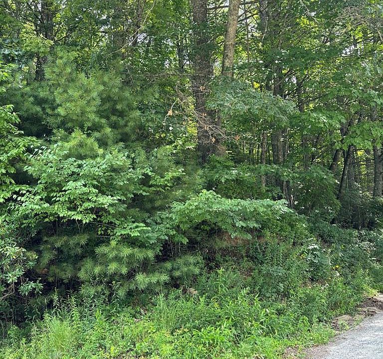 1st image of A Jurasic Drive