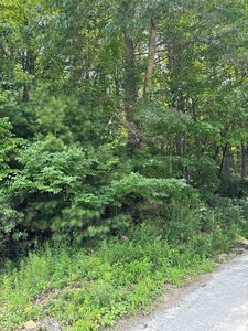 A Jurasic Drive, Cashiers, NC, 28717