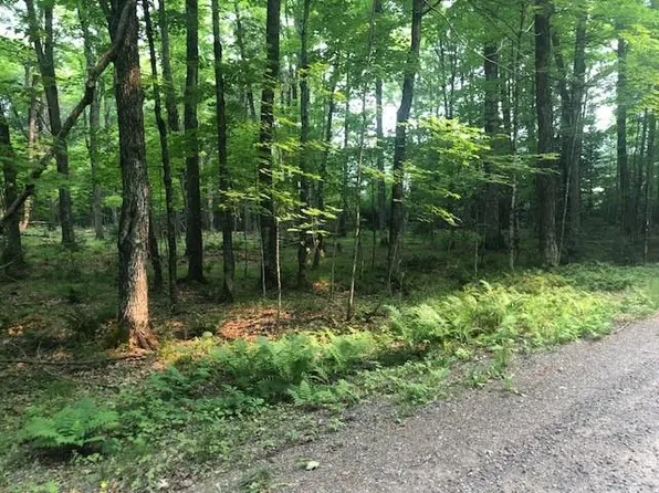 LOT Red Fox Rd, Presque Isle, WI 54557