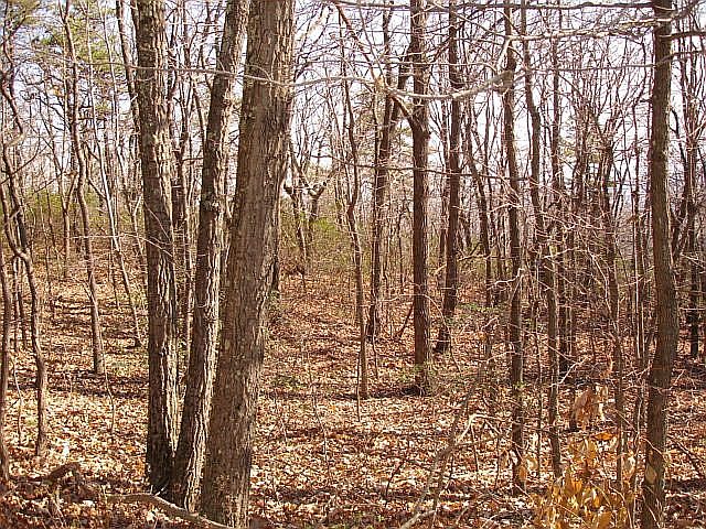 1st image of Plat 28 Archwood Trl Lot 339