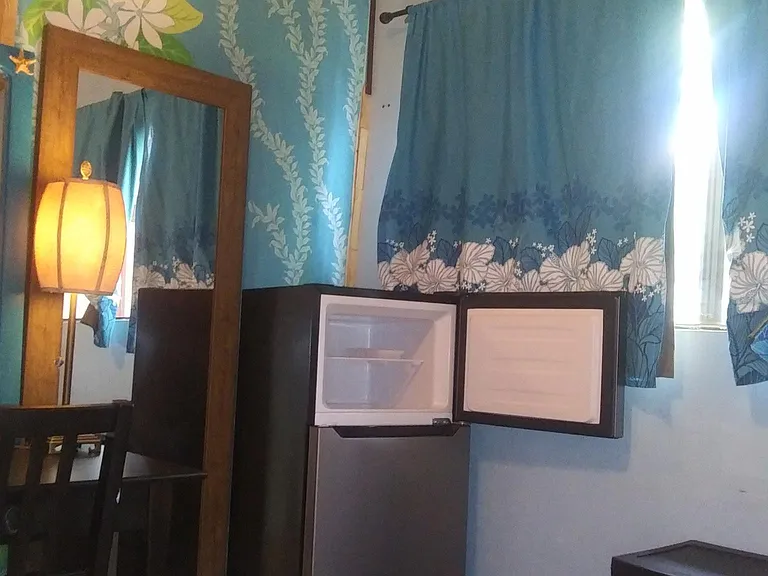 newer 4.5' Fridge with separate small Top Freezer.
