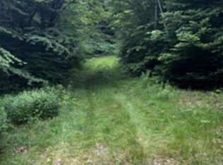 196 Old Pound Rd, Effingham, NH 03882