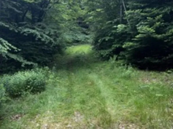 196 Old Pound Road, Effingham, NH 03882