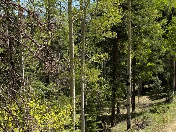 lot 2557 Chalet 3, Angel Fire, NM 87710