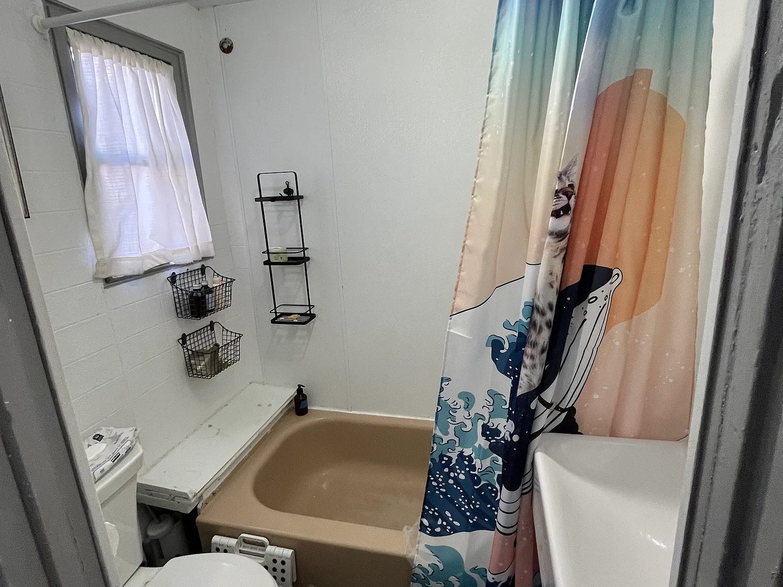 2 bed, 1000 sqft, $5,300 — Photo 4