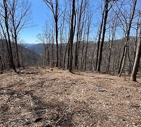 2nd image of Jimmy Reneau Rd