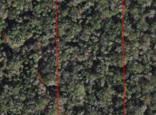 1510 Welcome Rd, Lithia, FL 33547