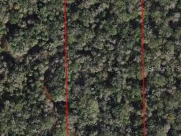 1510 Welcome Rd, Lithia, FL 33547