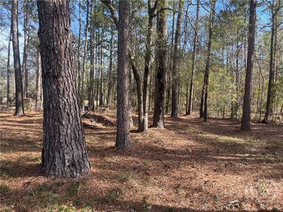 157 John Carter Road, Bloomingdale, GA, 31302