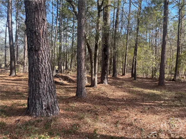 157 John Carter Road, Bloomingdale, GA 31302