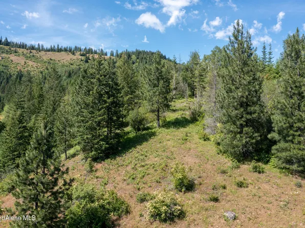 Nka Beaver Pond Trail Lot 5, Priest River, ID 83856