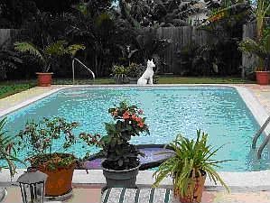 Backyard/Pool
