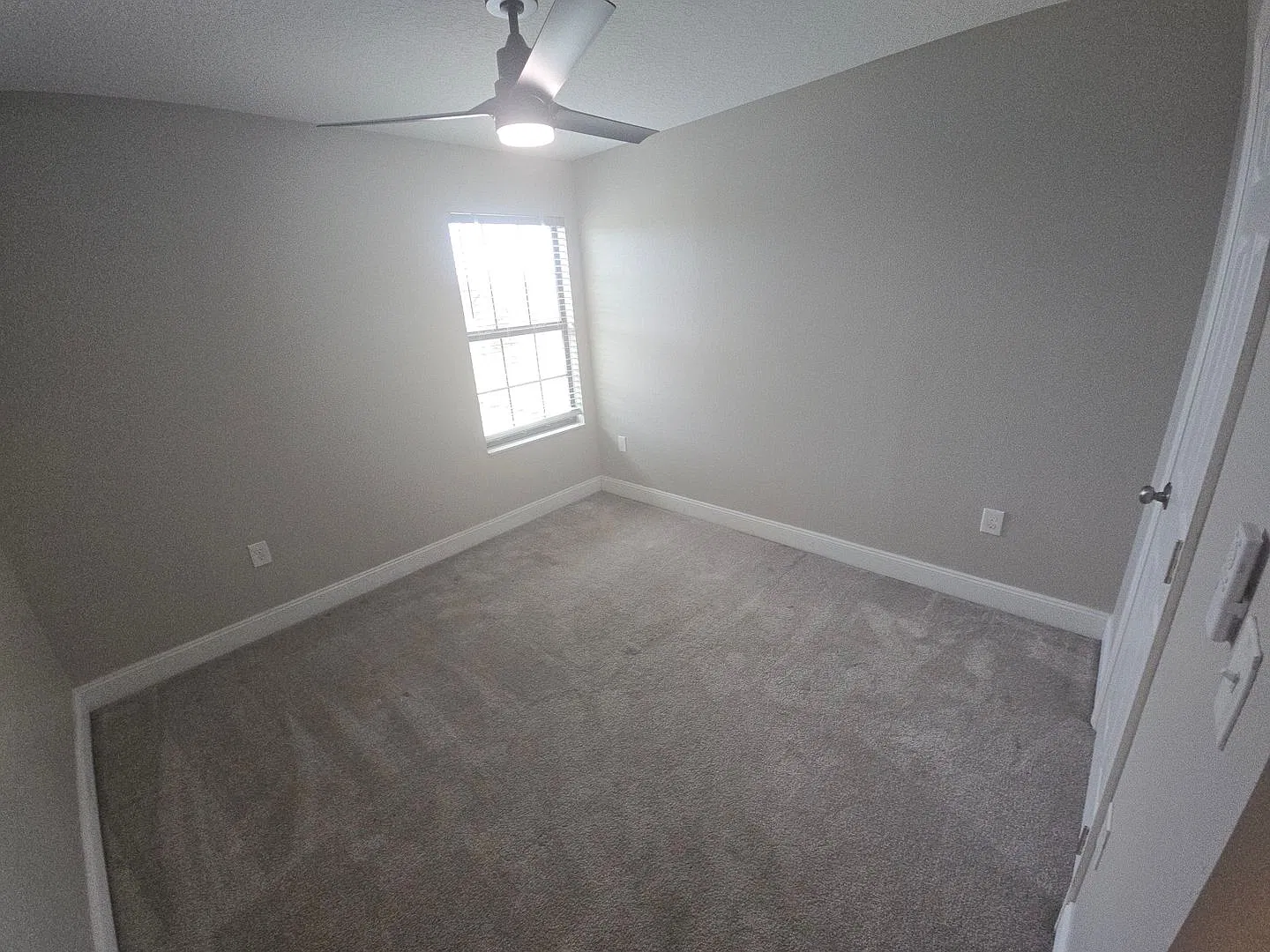 Beautiful 5/3 in Ruskin — Photo 4