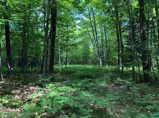 84915 Old 13 Rd, Pt Wing, WI 54865