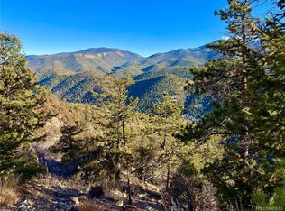 1961 Fools Gold Road, Idaho Springs, CO 80452