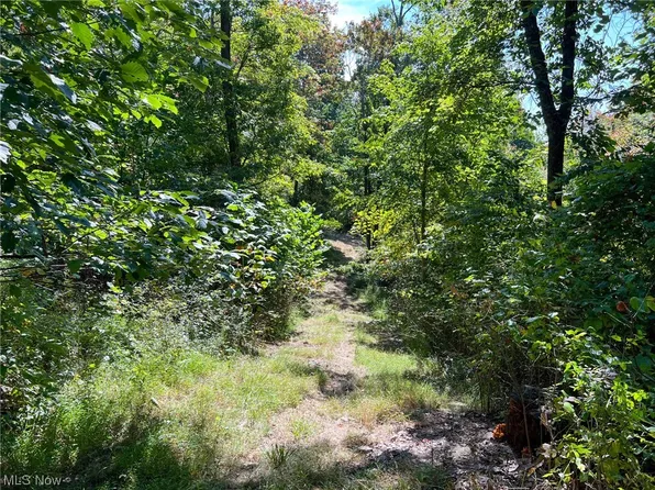 Chestnut Ridge Rd, Danville, OH 43014