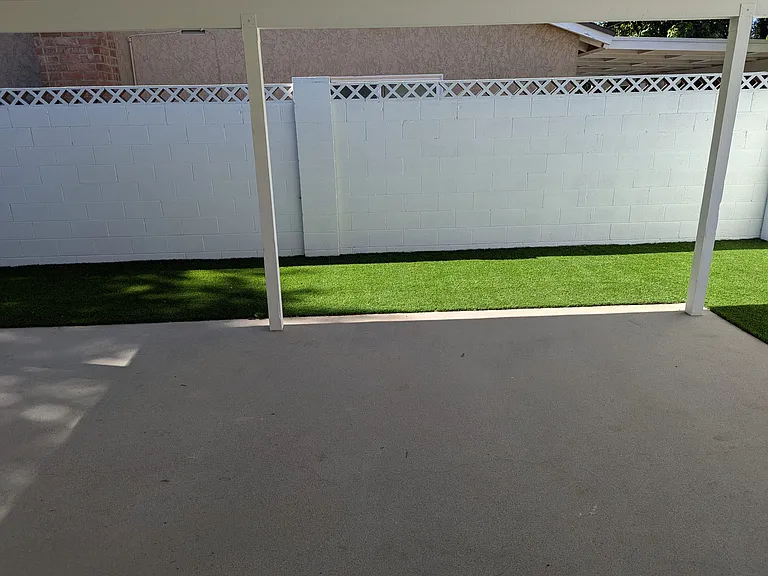back yard