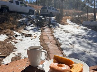 145 Bailey Dr, Bailey, CO 80421