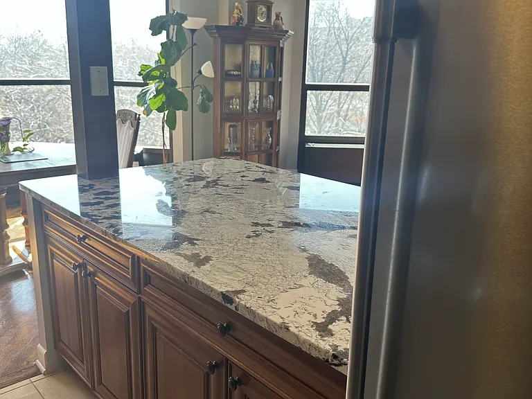 901 S Plymouth Ct #206 — Photo 4