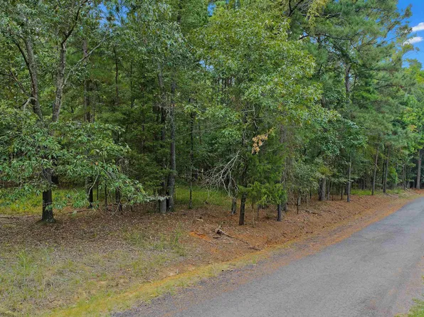 Tbd Lock Mountain Rd, Avinger, TX 75630