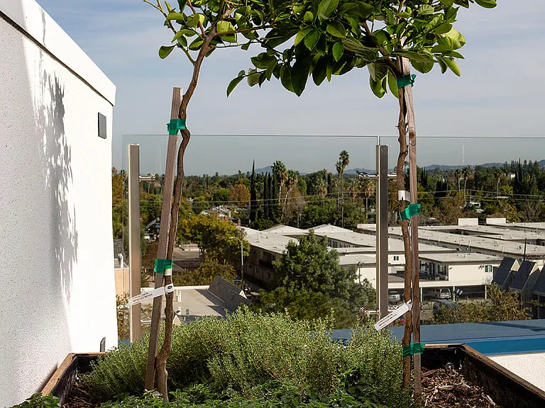 Chroma Apartment Homes — Photo 33