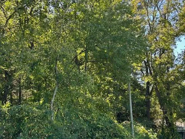 Lot 1 Nc Hwy 403, Faison, NC 28341