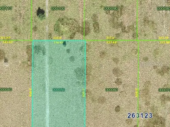 LOT 5 Lake Buffum Rd S Lot 5, Fort Meade, FL 33841