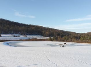 0 Hulbert Rd, Troupsburg, NY 14885